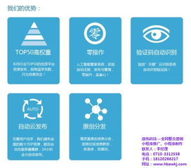 政伟科技 湖北网络营销的在线学习与咨询指南